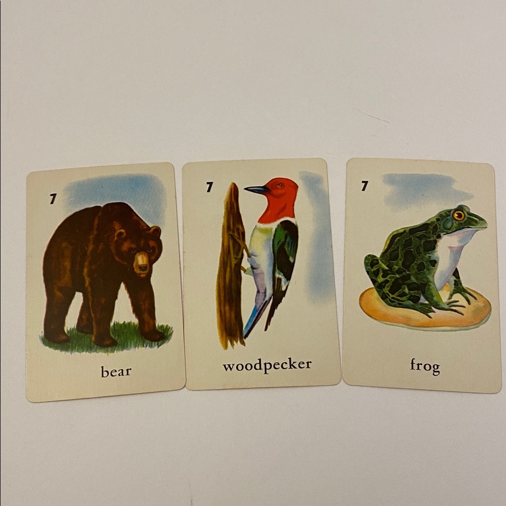 Vintage 1959 Card Game By Ed-U-Cards Bird Fish Animal 33 Cards Read Description - Picture 9 of 13